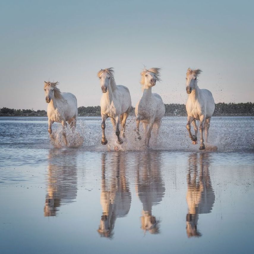 Concurso da National Geographic revela prévia de melhores fotos de natureza