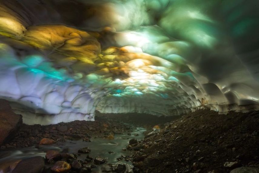 Concurso da National Geographic revela prévia de melhores fotos de natureza