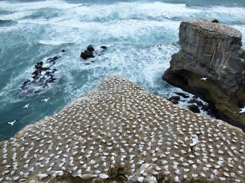 Concurso da National Geographic revela prévia de melhores fotos de natureza