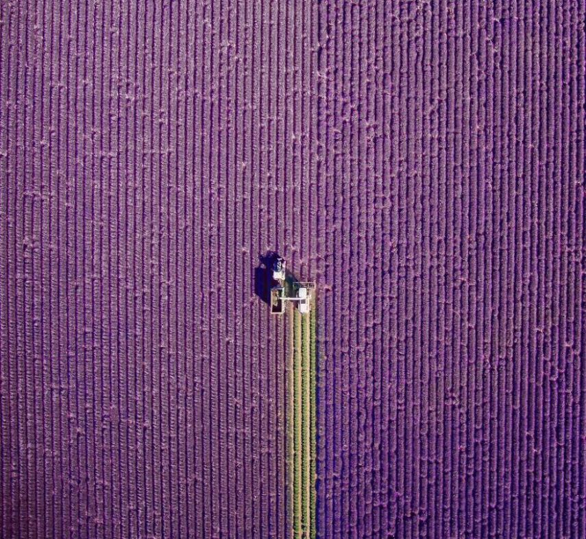 Concurso da National Geographic revela prévia de melhores fotos de natureza