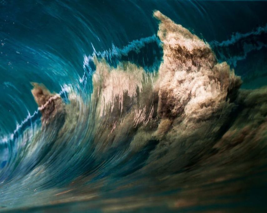 Concurso da National Geographic revela prévia de melhores fotos de natureza
