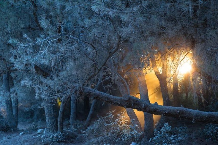 Concurso da National Geographic revela prévia de melhores fotos de natureza