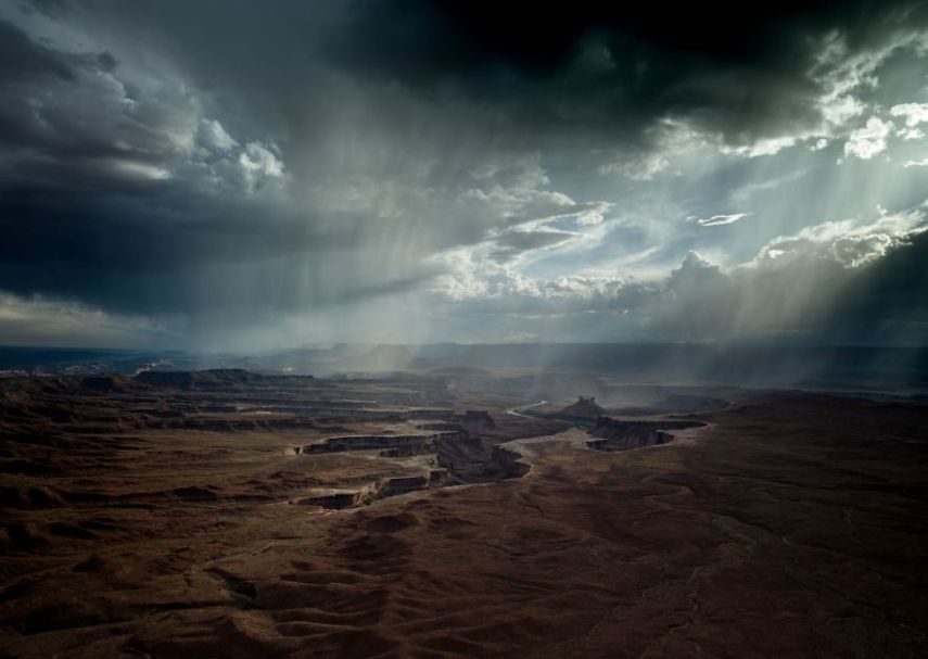 Concurso da National Geographic revela prévia de melhores fotos de natureza