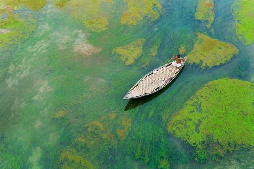 Concurso da National Geographic revela prévia de melhores fotos de natureza