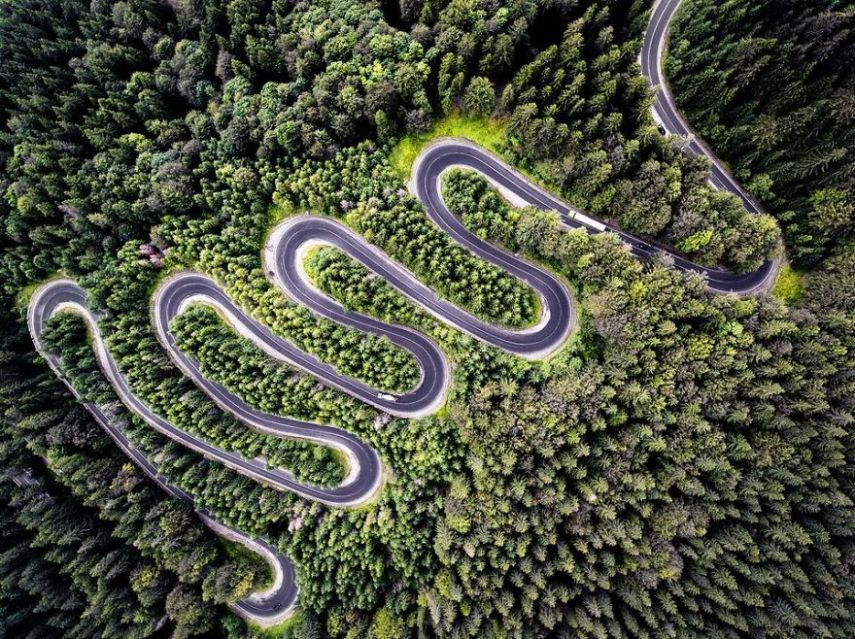 Concurso da National Geographic revela prévia de melhores fotos de natureza