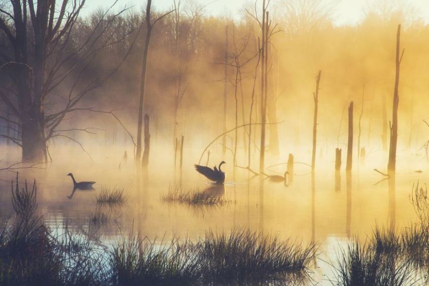 Concurso da National Geographic revela prévia de melhores fotos de natureza