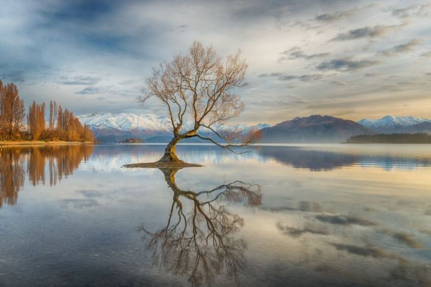 Concurso da National Geographic revela prévia de melhores fotos de natureza