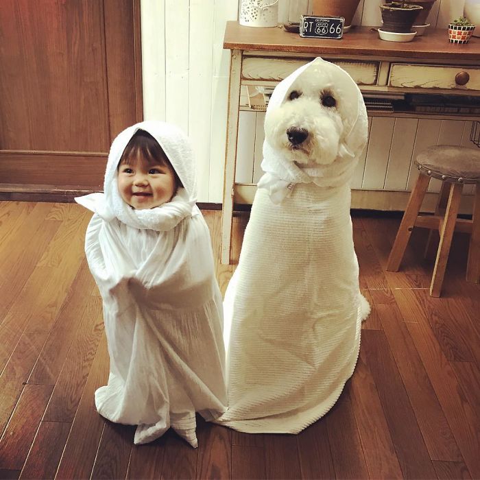 Mame é uma menina japonesa de um ano e, junto com os cachorros gigantes, ela tem as fotos mais fofas do Instagram.