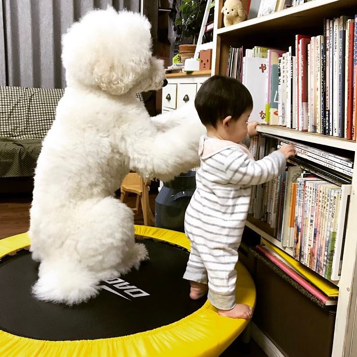 Mame é uma menina japonesa de um ano e, junto com os cachorros gigantes, ela tem as fotos mais fofas do Instagram.