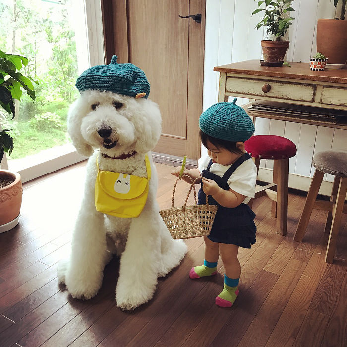 Mame é uma menina japonesa de um ano e, junto com os cachorros gigantes, ela tem as fotos mais fofas do Instagram.