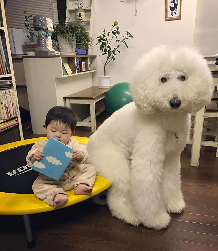 Mame é uma menina japonesa de um ano e, junto com os cachorros gigantes, ela tem as fotos mais fofas do Instagram.