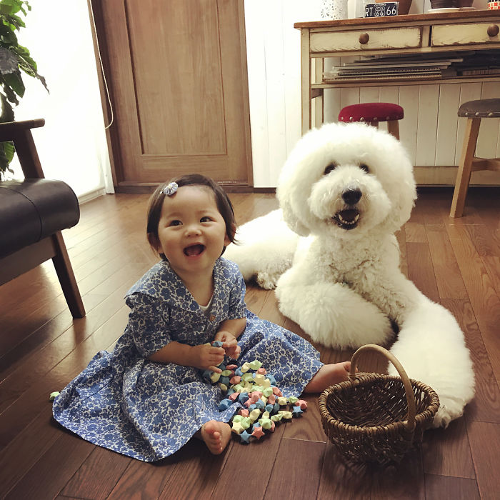 Mame é uma menina japonesa de um ano e, junto com os cachorros gigantes, ela tem as fotos mais fofas do Instagram.