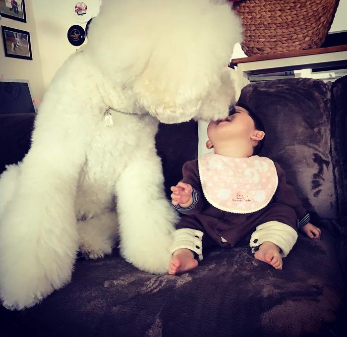 Mame é uma menina japonesa de um ano e, junto com os cachorros gigantes, ela tem as fotos mais fofas do Instagram.