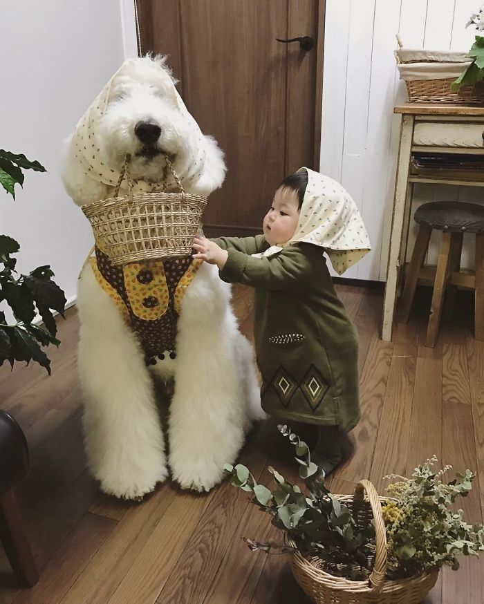 Mame é uma menina japonesa de um ano e, junto com os cachorros gigantes, ela tem as fotos mais fofas do Instagram.