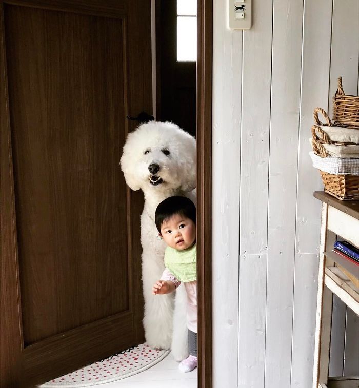 Mame é uma menina japonesa de um ano e, junto com os cachorros gigantes, ela tem as fotos mais fofas do Instagram.