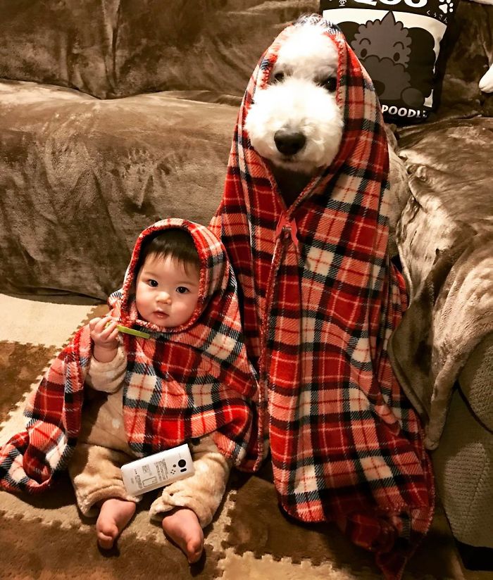 Mame é uma menina japonesa de um ano e, junto com os cachorros gigantes, ela tem as fotos mais fofas do Instagram.