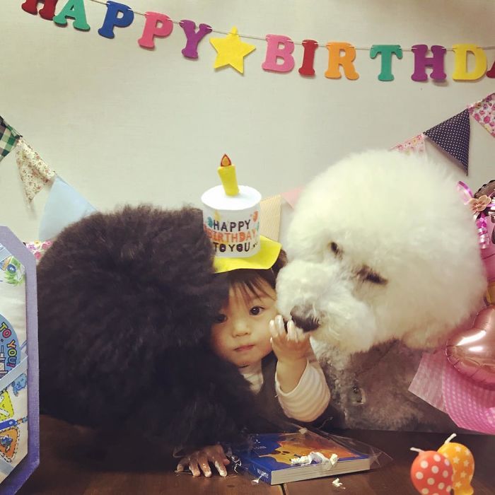 Mame é uma menina japonesa de um ano e, junto com os cachorros gigantes, ela tem as fotos mais fofas do Instagram.