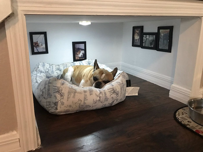 Viralizou na internet fotos desse quarto construído especialmente para um cachorro embaixo da escada. Fofo, né?