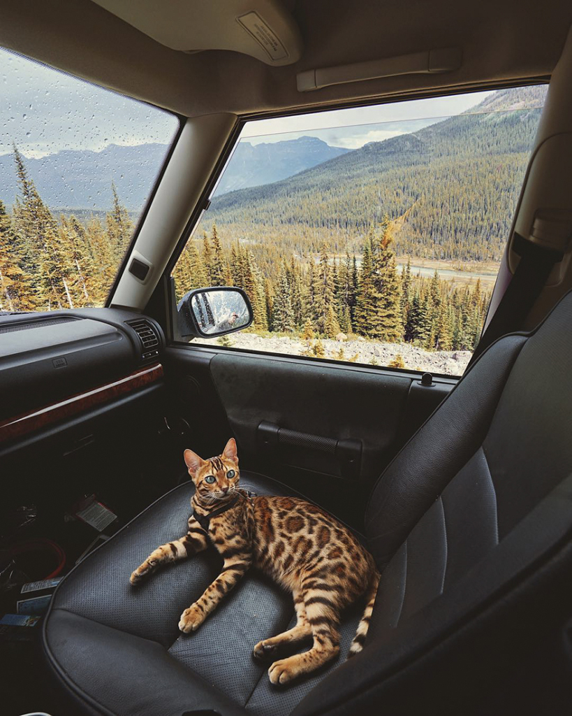 A bela é a estrela do Instagram @sukiicat, que tem mais de 157 mil seguidores, e mostra suas viagens pelo Canadá