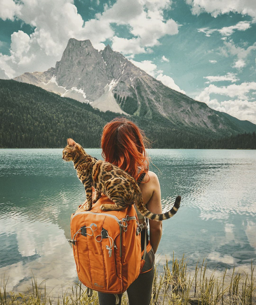 A bela é a estrela do Instagram @sukiicat, que tem mais de 157 mil seguidores, e mostra suas viagens pelo Canadá