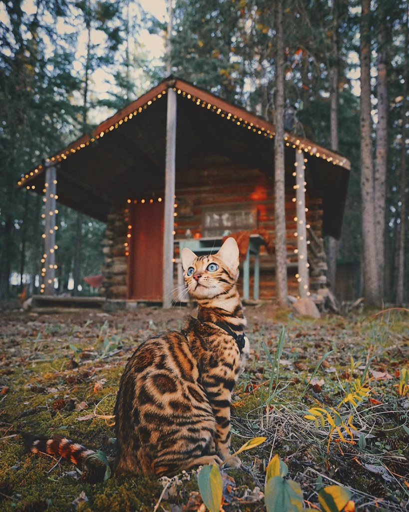 A bela é a estrela do Instagram @sukiicat, que tem mais de 157 mil seguidores, e mostra suas viagens pelo Canadá