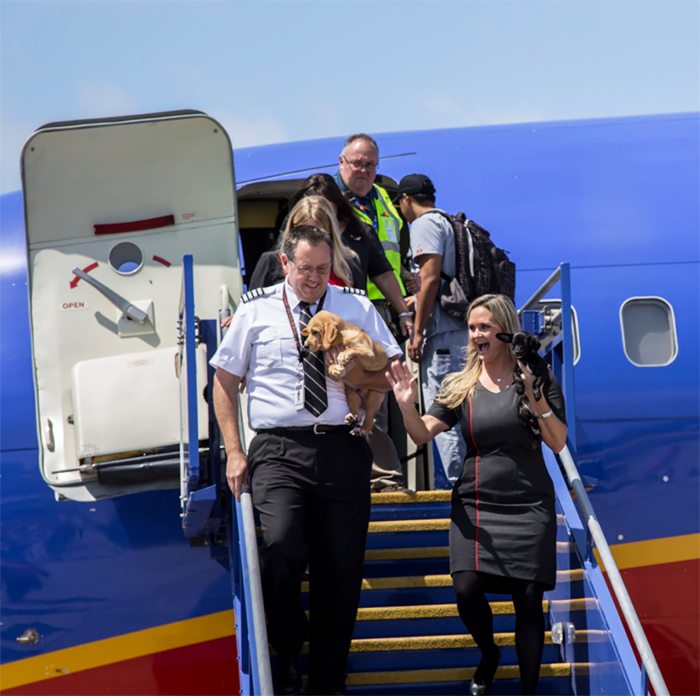 A Southwest Airlines decidiu ajudar a salvar animais órfãos que sofriam por causa da enchente em Houston, no Texas, após a dramática passagem do furacão Harvey. Para isso, a companhia aérea encheu a cabine de um de seus aviões com animais!