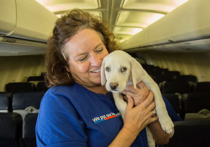 A Southwest Airlines decidiu ajudar a salvar animais órfãos que sofriam por causa da enchente em Houston, no Texas, após a dramática passagem do furacão Harvey. Para isso, a companhia aérea encheu a cabine de um de seus aviões com animais!
