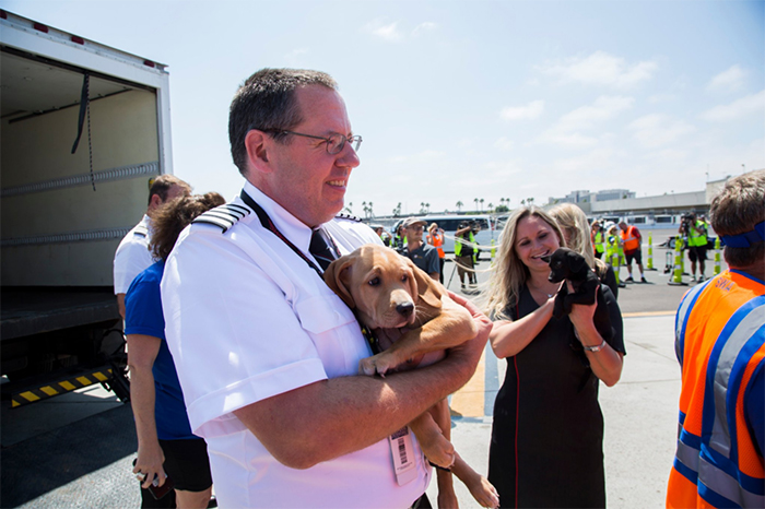 A Southwest Airlines decidiu ajudar a salvar animais órfãos que sofriam por causa da enchente em Houston, no Texas, após a dramática passagem do furacão Harvey. Para isso, a companhia aérea encheu a cabine de um de seus aviões com animais!