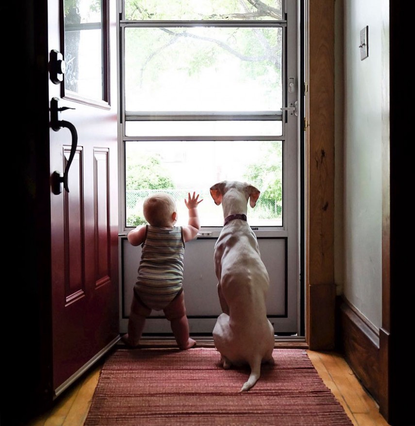 Amizade entre cachorra e bebê faz sucesso na web. Para acompanhar, é só seguir @wellettas no Instragram