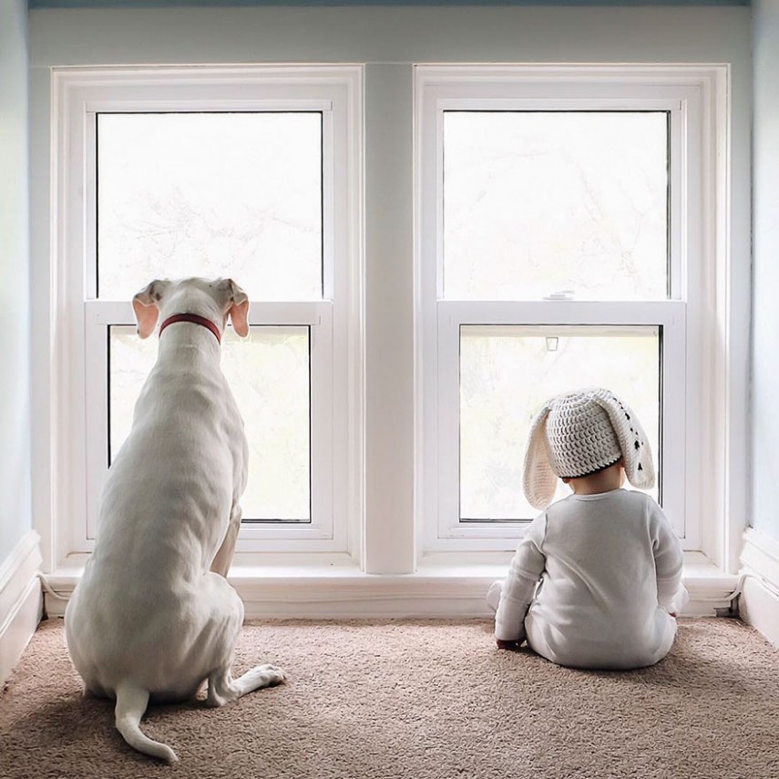 Amizade entre cachorra e bebê faz sucesso na web. Para acompanhar, é só seguir @wellettas no Instragram