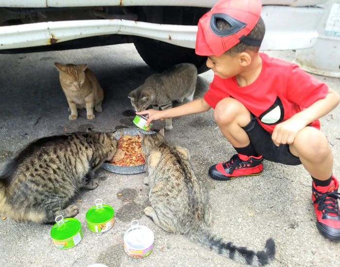 Shon Griffin se veste como seus heróis favoritos para salvar gatos de rua