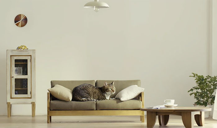 Móveis para gatos