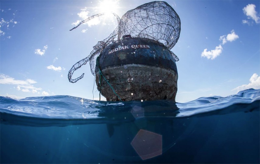 Uma escultura gigante de um Kraken foi afundada junto com um navio da Segunda Guerra Mundial, perto das Ilhas Virgens Britânicas, no Mar do Caribe, para criar um novo ecossistema de corais na região