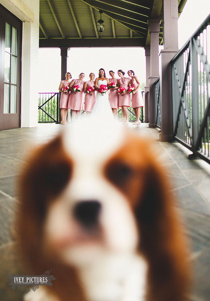 Uma surpresinha na foto de casamento
