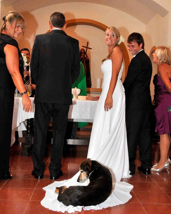 Uma surpresinha na foto de casamento