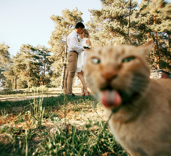 Uma surpresinha na foto de casamento