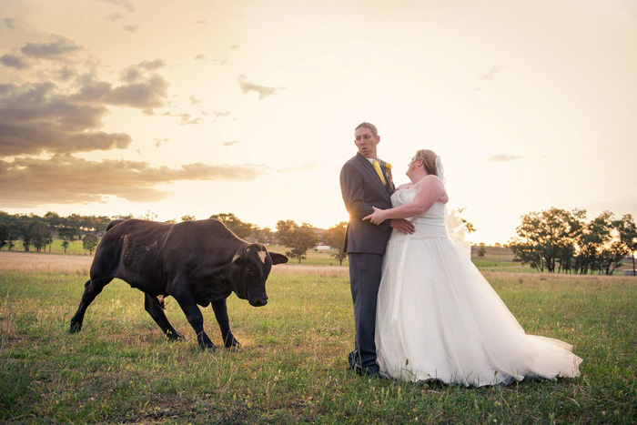 Uma surpresinha na foto de casamento