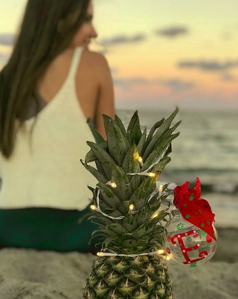 No Instagram, uma ideia barata e descolada vem ganhando destaque através da hashtag #pinneaplechristmastree , ou seja, muitos usuários da rede social estão decorando abacaxis como alternativa à árvore de Natal. Vale tudo na hora de montar: colocar bolinhas coloridas, enrolar pisca-pisca e até colocar óculos escuros na fruta para criar um clima mais praiano.