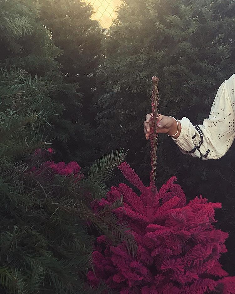 Junto ao Papai Noel e ao presépio, a árvore enfeitada com estrelas, bolinhas e pisca-pisca é um dos maiores símbolos do Natal, data em que cristãos de várias partes do mundo comemoram o nascimento de Jesus Cristo.  Muita gente já está com a sala de casa toda decorada aguardando a ceia do dia 25 de dezembro, inclusive as celebridades.