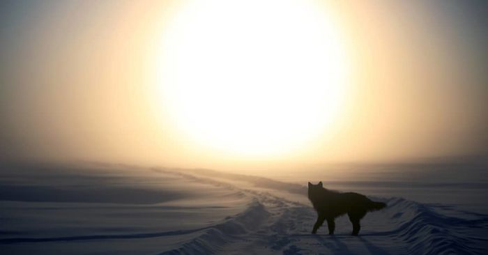 Oymyakon é uma vila remota da Sibéria é considerada o 