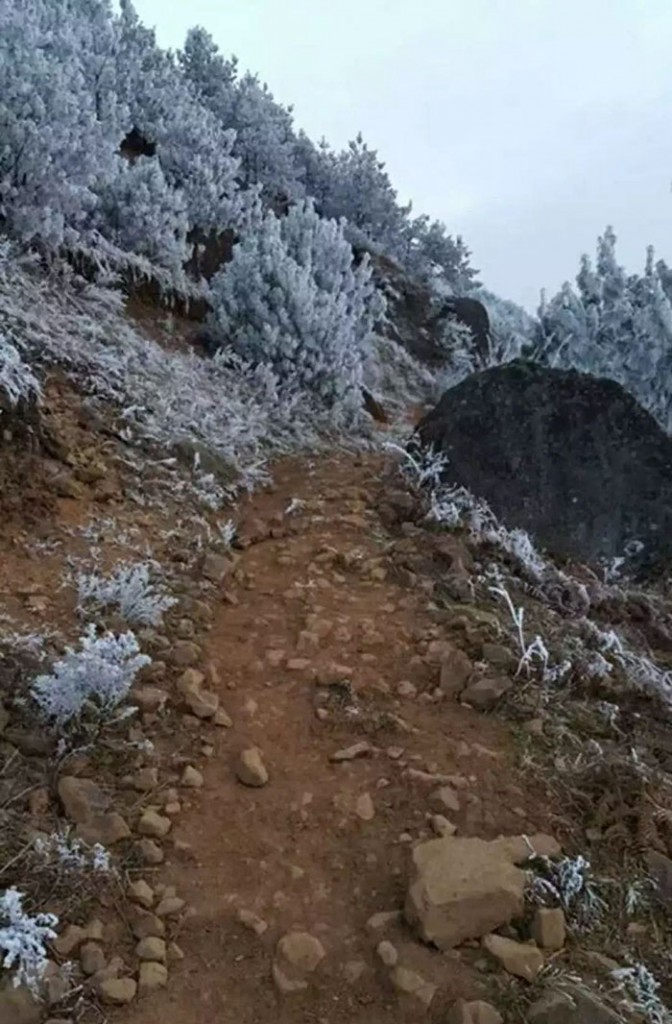 Um garoto chinês de oito anos andou aproximadamente 4,8 km para chegar a sua escola, a Zhuanshanbao Primary School , na província de Yunnan. Além de ser um longo caminho para percorrer, ele fez tudo isso em um frio de -9°C. Ele não queria perder a prova que teria naquele dia.