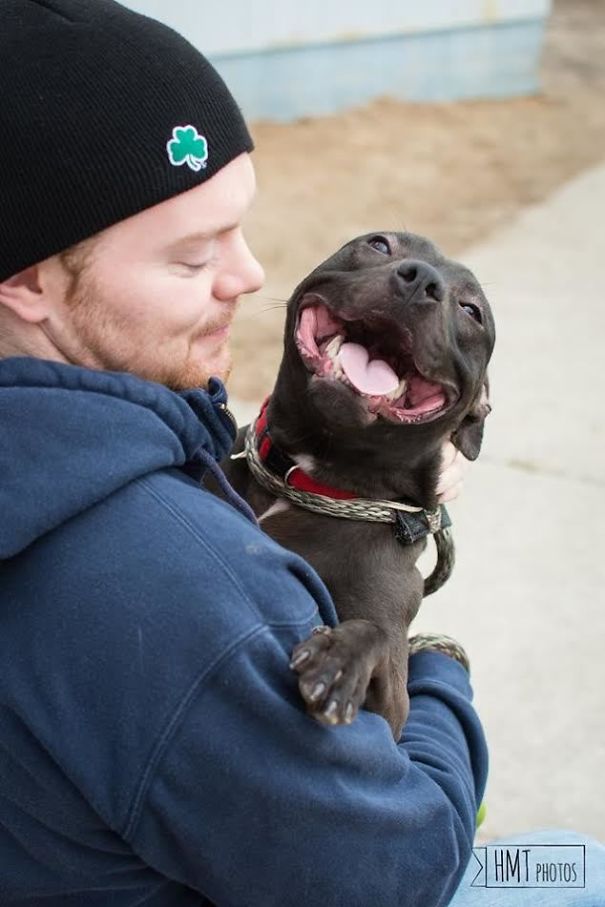 Fotos tiradas por cuidadores de animais