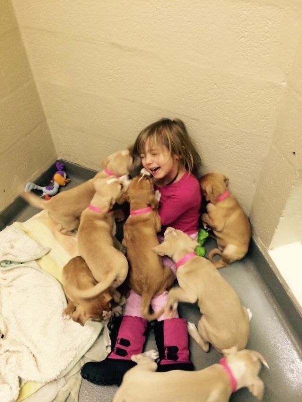 Fotos tiradas por cuidadores de animais