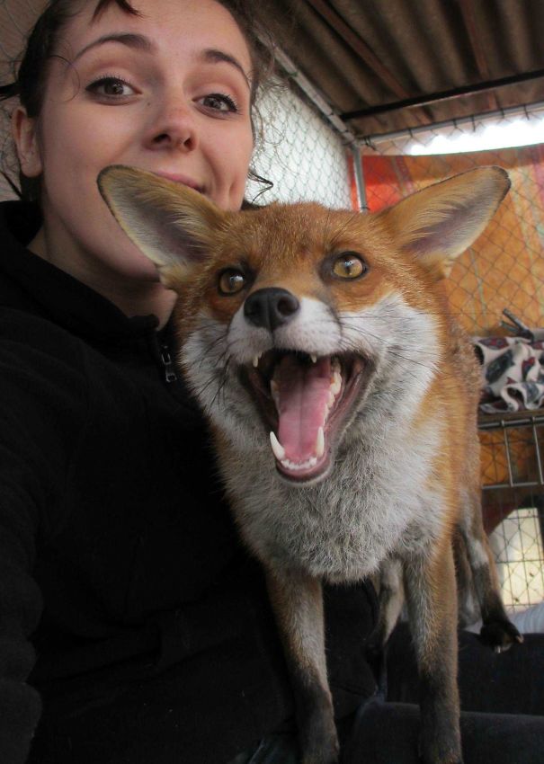 Fotos tiradas por cuidadores de animais