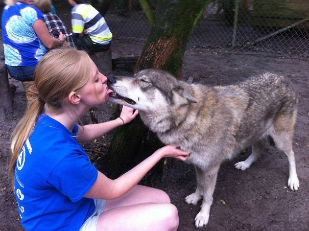 Fotos tiradas por cuidadores de animais