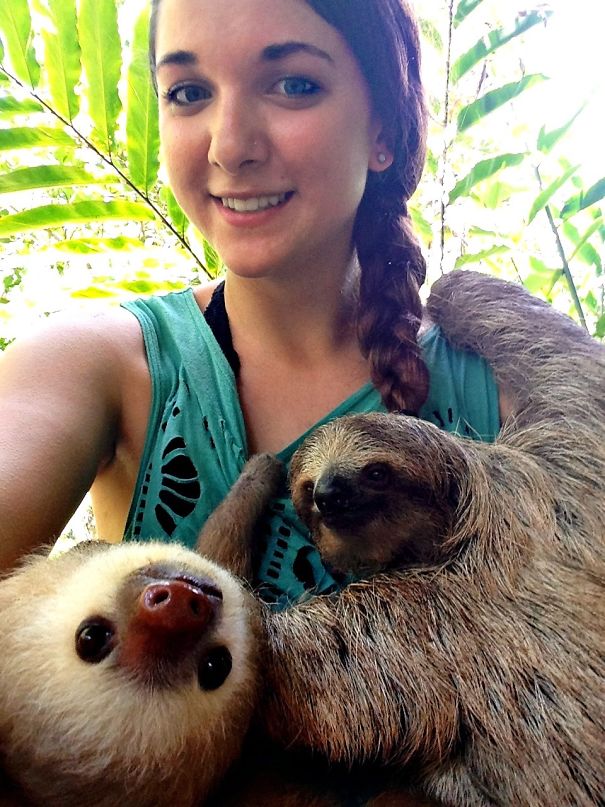 Fotos tiradas por cuidadores de animais
