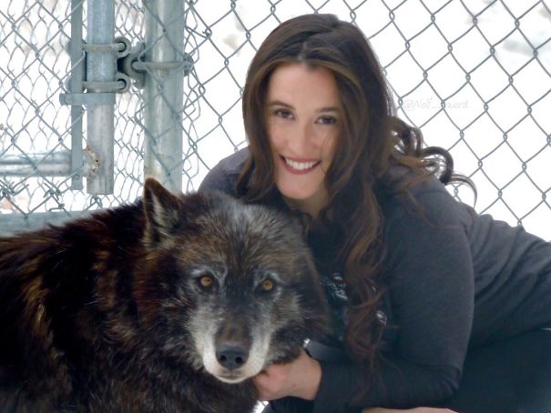 Fotos tiradas por cuidadores de animais
