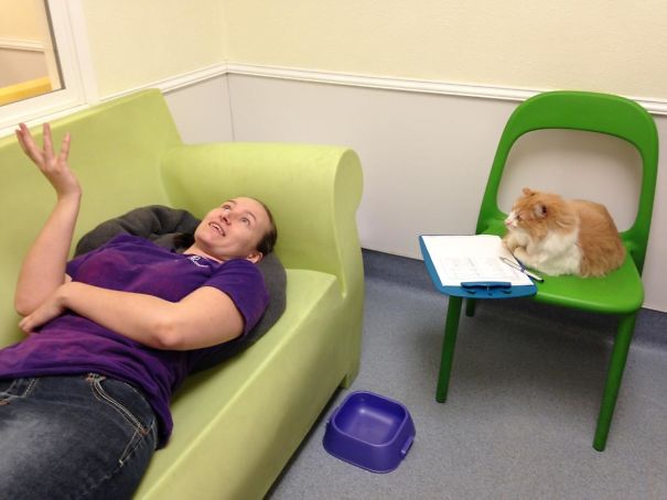 Fotos tiradas por cuidadores de animais