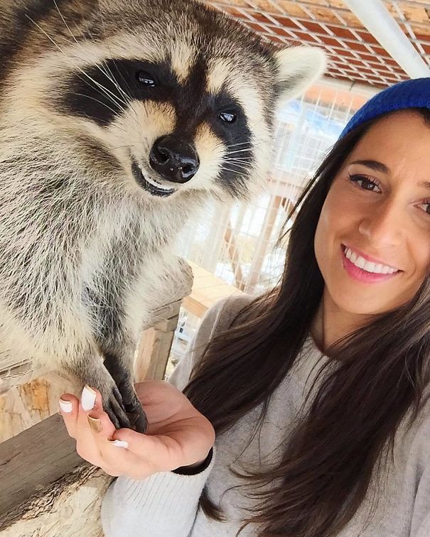 Fotos tiradas por cuidadores de animais