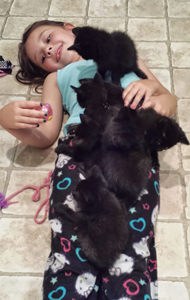 Fotos tiradas por cuidadores de animais